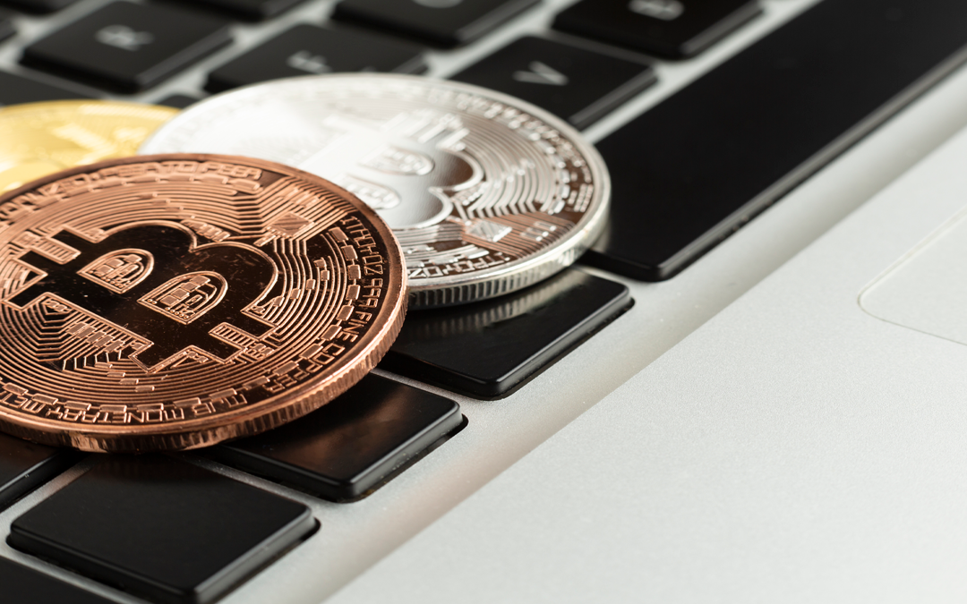 CONSERVATION NFTs: Campaña pone las criptomonedas y activos digitales al servicio de las áreas protegidas