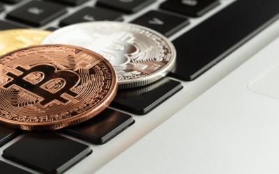 CONSERVATION NFTs: Campaña pone las criptomonedas y activos digitales al servicio de las áreas protegidas